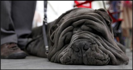 � ���� �� �������� :)