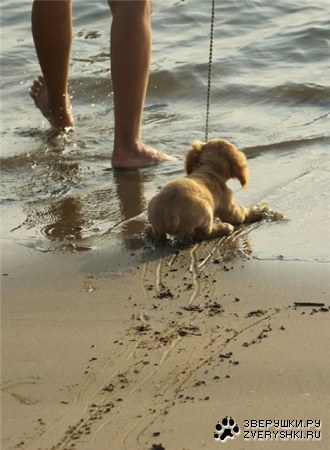 �� ���� ��������! :)