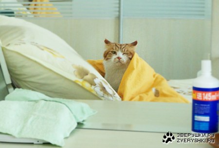 ������� ���� ;)