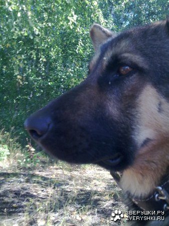 ���� �����������!