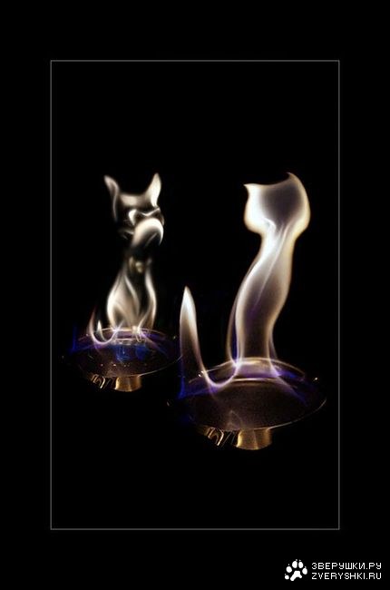 ��������� �������� :)