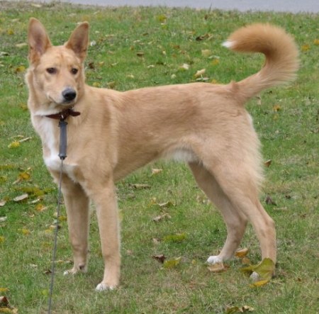 ���� �������! �� ��������� ����!