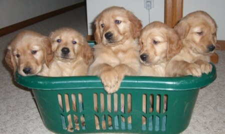 ����� ������� :)