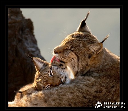 �������� ;)