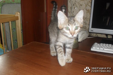 ������� ����� ;)