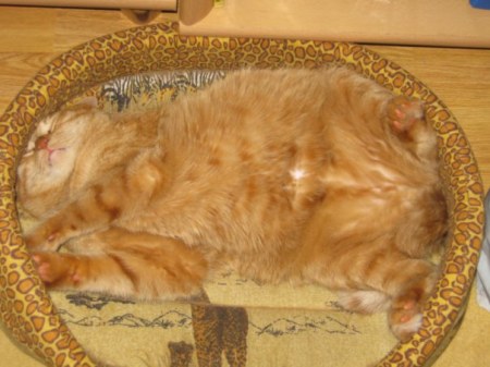 ����� ������� � ���� ����� :)