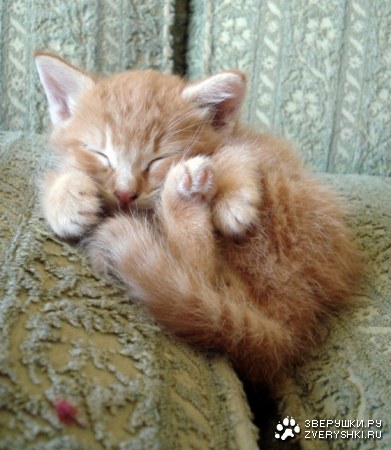 ����������... :)