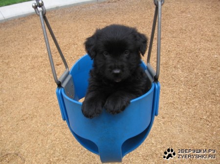 ������ ��� ������� :)