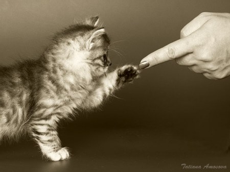 ��� ����! :)