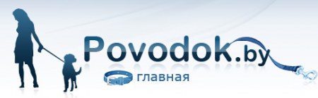 �� ������, ��� �� ����� � �������, � ����� Povodok.by!