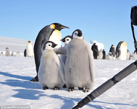 ������������� �������� :)