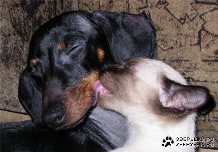 ������� ;)