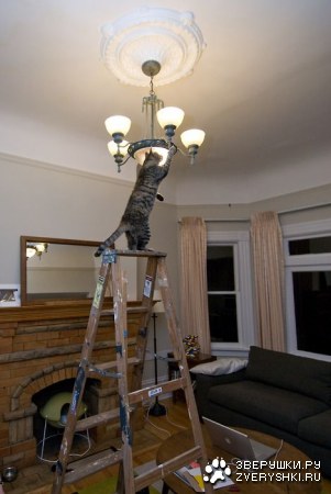 ������! ;)