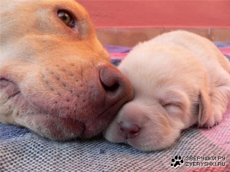 ������ ;)