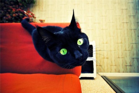 ���������� �������� (22 ����)