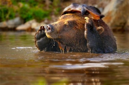 ���������� �������� (22 ����)