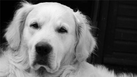 ���������� �������� (22 ����)