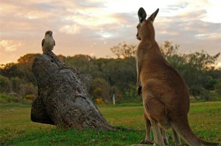 ���������� �������� (22 ����)