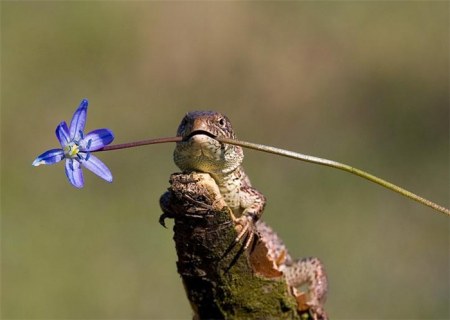 ���������� �������� (22 ����)