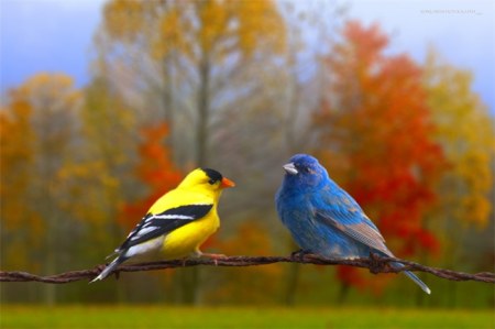 ���������� �������� (22 ����)