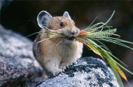 ���������� �������� (22 ����)