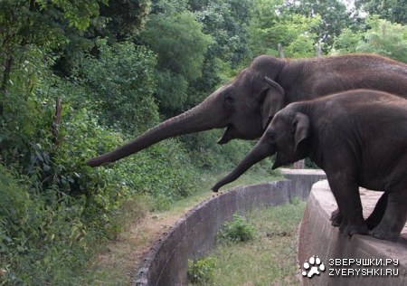 ���������� �� ���! :)