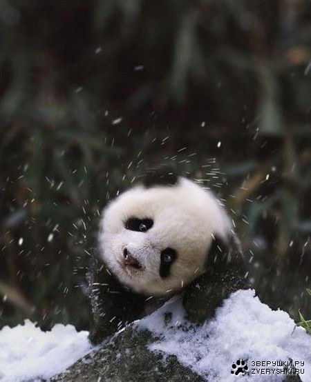 � ����� ����! :)