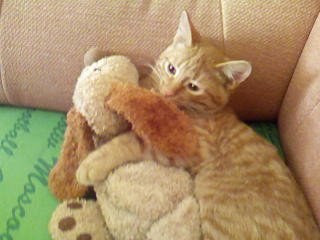 ��������� :)