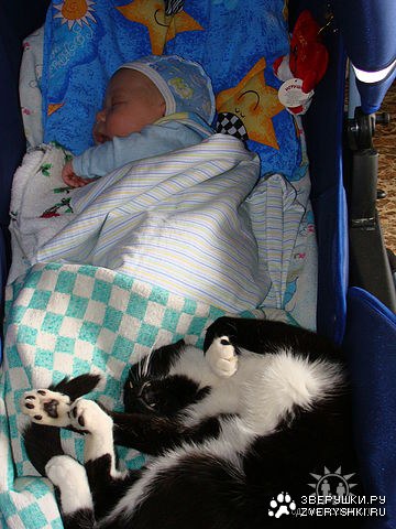 ����� ��� ������� ������� ;)