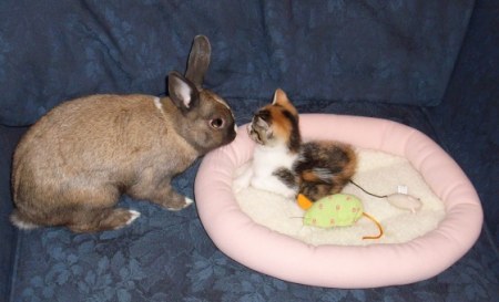 ����� ����������� ;)