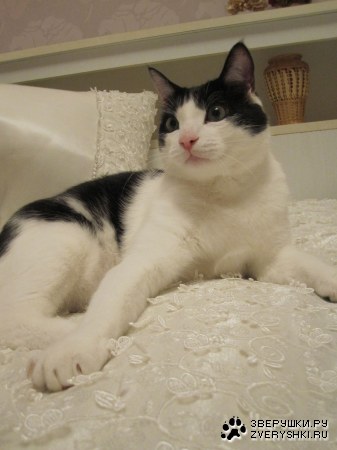 �������������� ����� (5 ����)