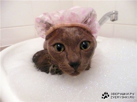 ������ ��������� :)