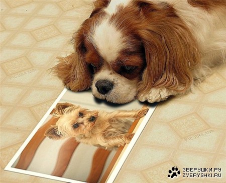 ������ �� ����...