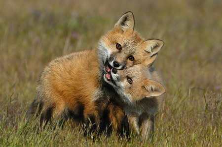 �������� ��� ������� ������! :)