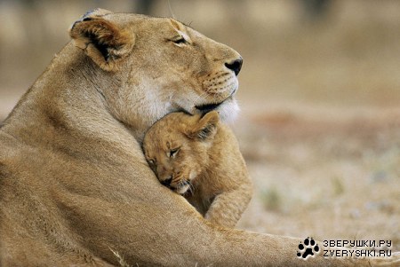 ������... :)