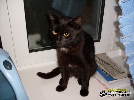 ������ :)