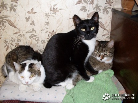 ���� ���� :)