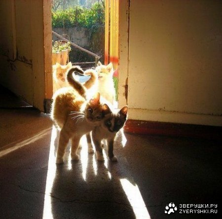 ��������� �����! ;)