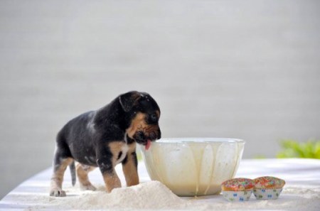 "����� � ���-�� ����������� ������..."