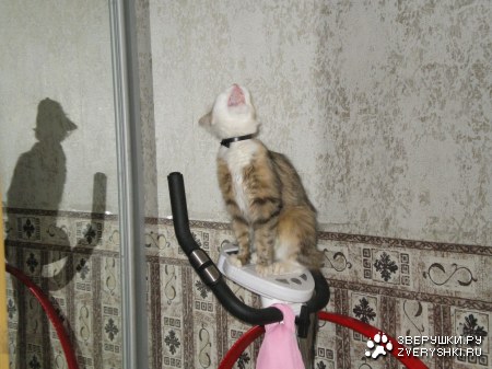 ���������� ;)