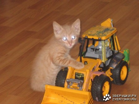 ������, ��������? :)