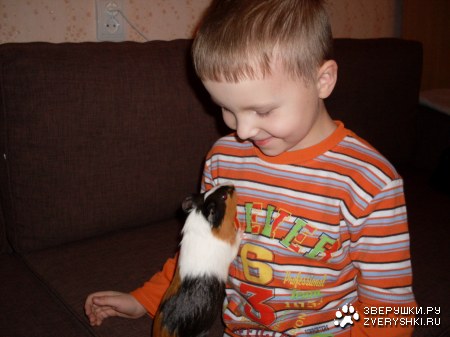 ������ ���� �� ����� ;)