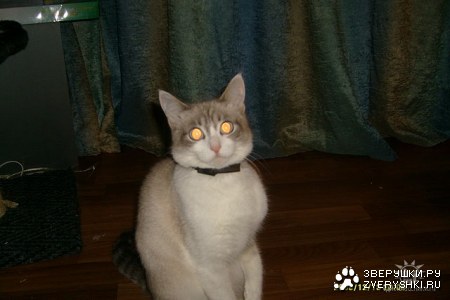 �������� ������� :)