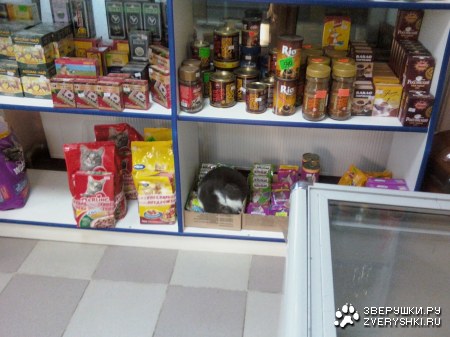 ��� � ����� ������� ������! :)