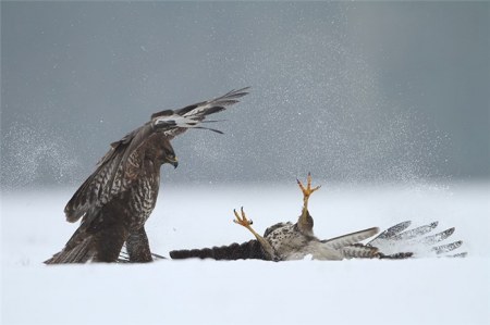 ���� ��������! ;)