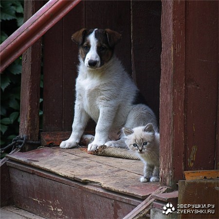 ���� ������� ����� :)