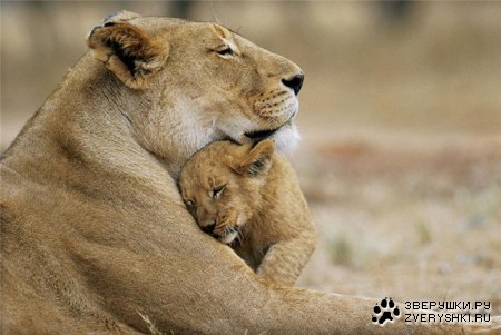 �������� ������ :)