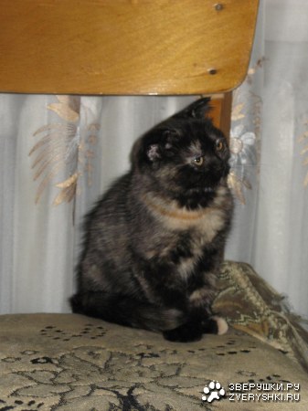 ������� ������ :)