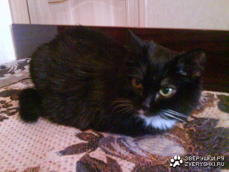 ����� ������� :)