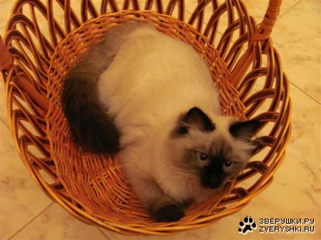 �����, ��� ����� :)